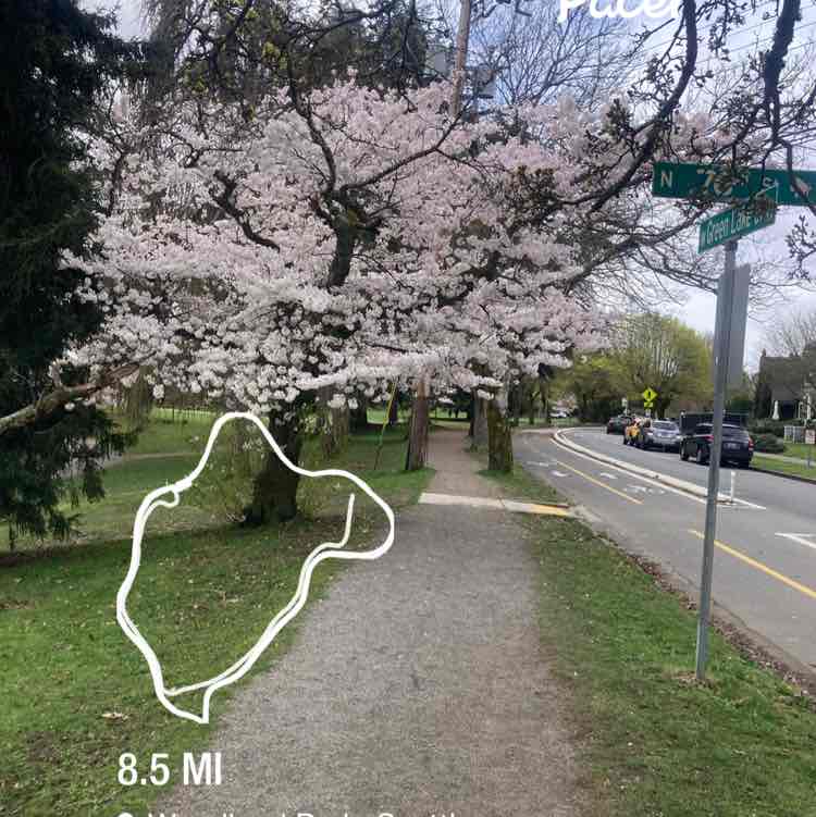 Martin Aristo post 1