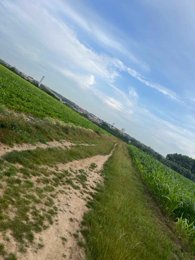 walking near me in Parc de la Tourelle in winter
