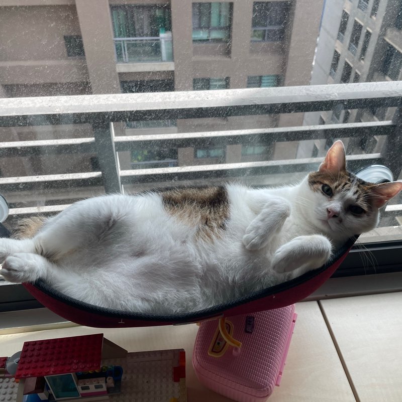 彰濱影像醫學部10394 profile