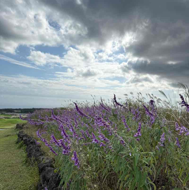 이대🎀 부엉 🦉 post image