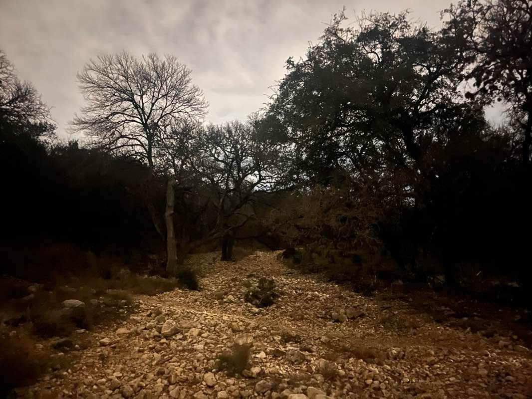 walking near me in Bamberger Nature Park in winter