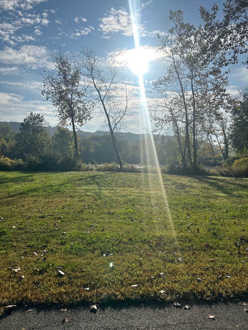 walking near me in Derby Greenway in autumn