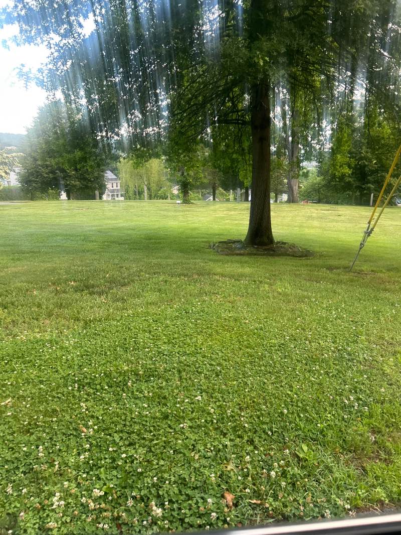 walking near me in East Derby Green in summer