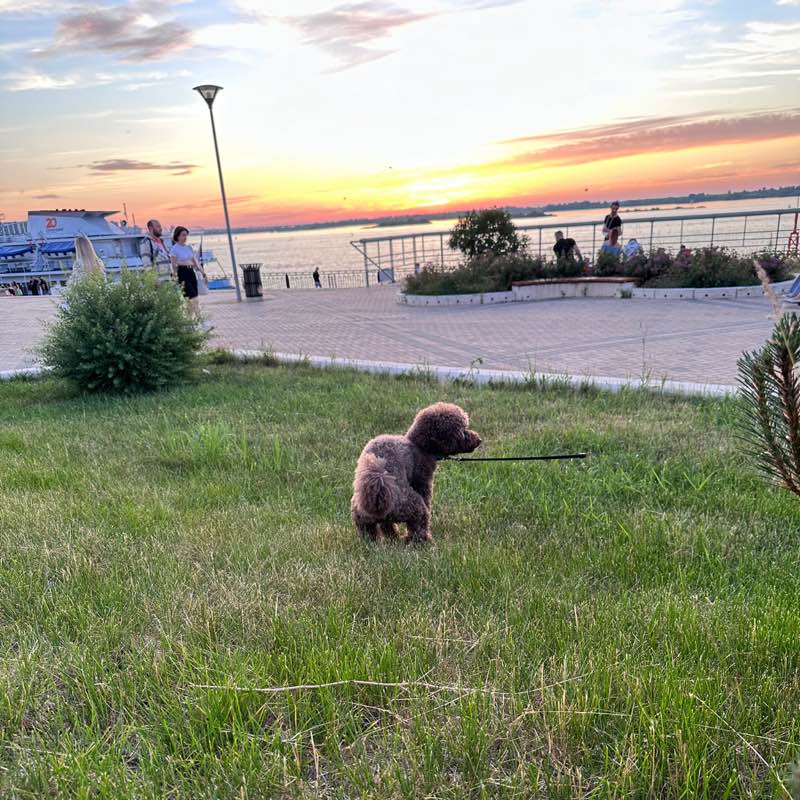 Максим Бейсенов