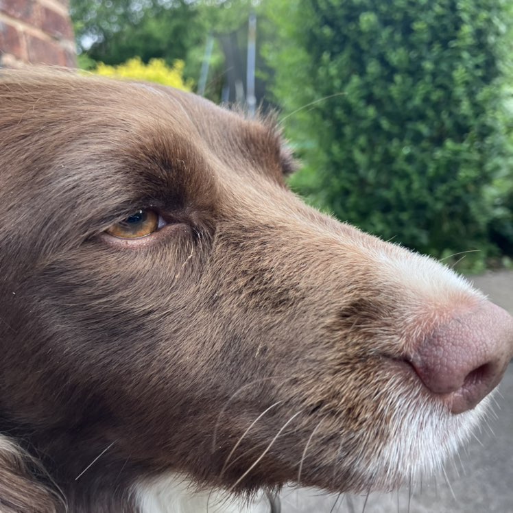 Freddie Wilson profile