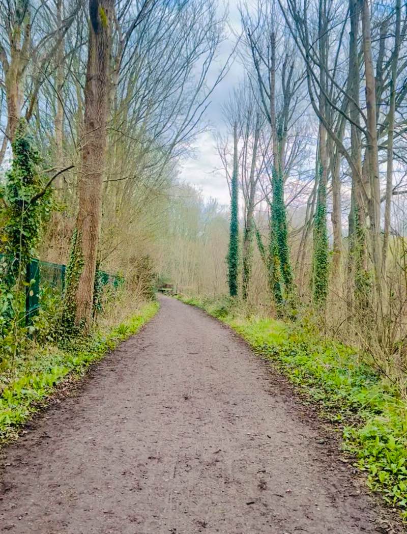 walking near me in Wickham Water Meadows in spring