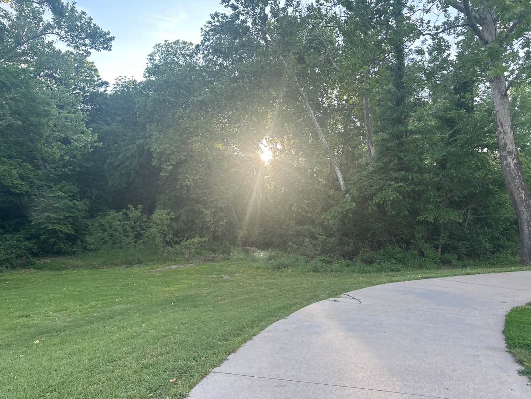 walking near me in Happy Rock Park in spring