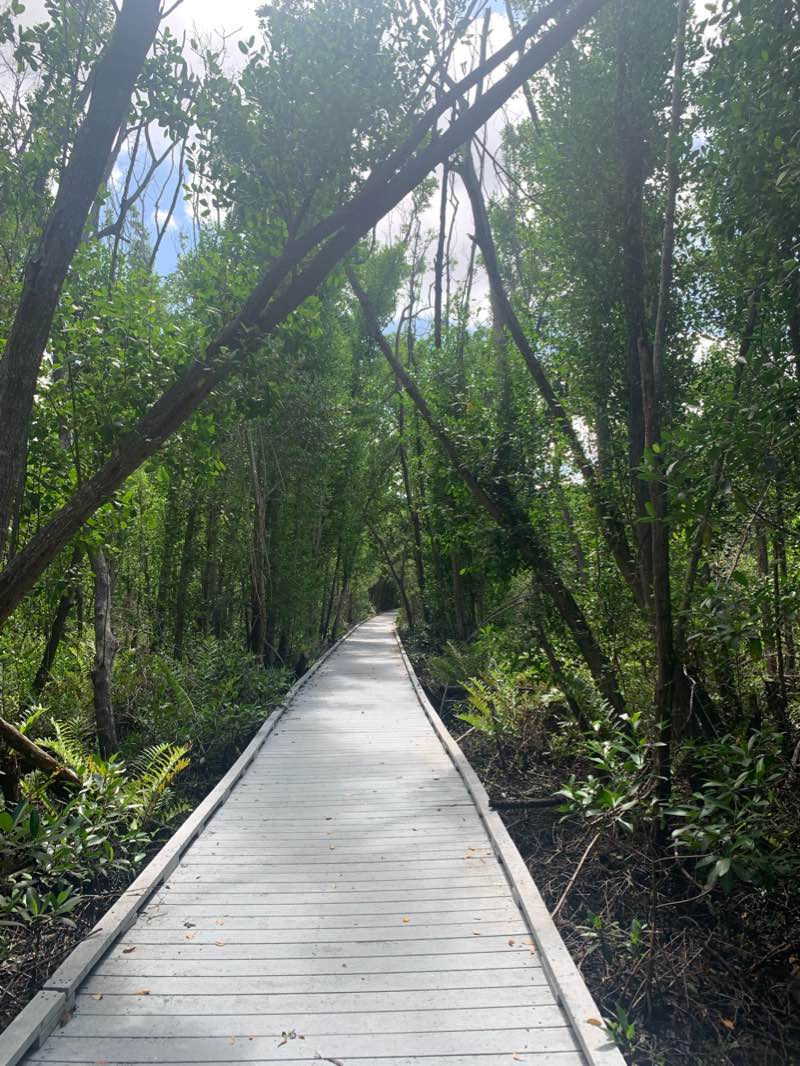 walking near me in Four Mile Cove Ecological Preserve in winter