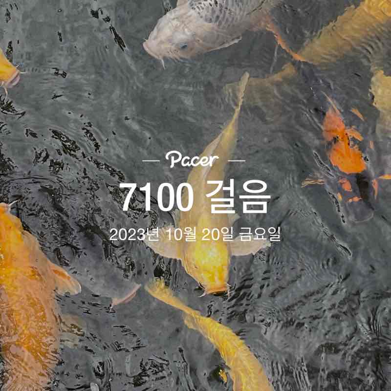 Seo yoon post 1