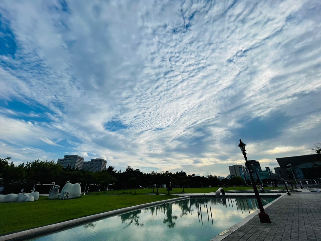 유기_이현정 icon