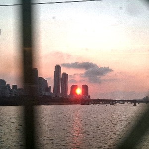 약품_김용 profile