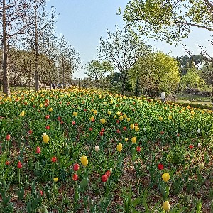 기초_최춘식 profile