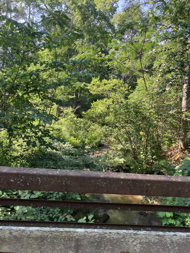 walking near me in Harris Shoals Park in summer