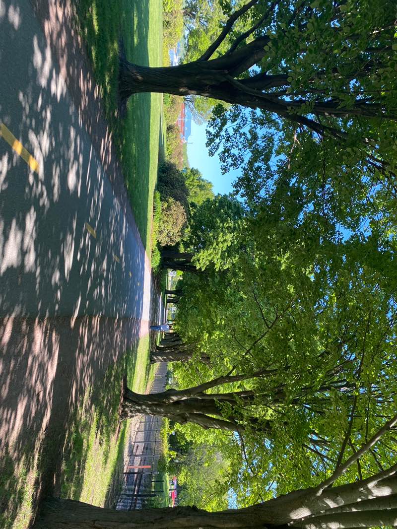 walking near me in Waterfront Park in spring