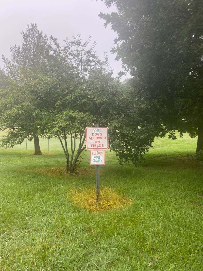 walking near me in Coan Park in autumn