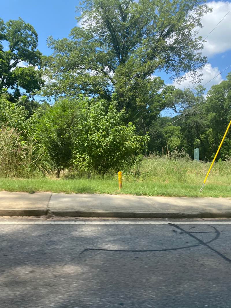 walking near me in North Oconee River Greenway in autumn