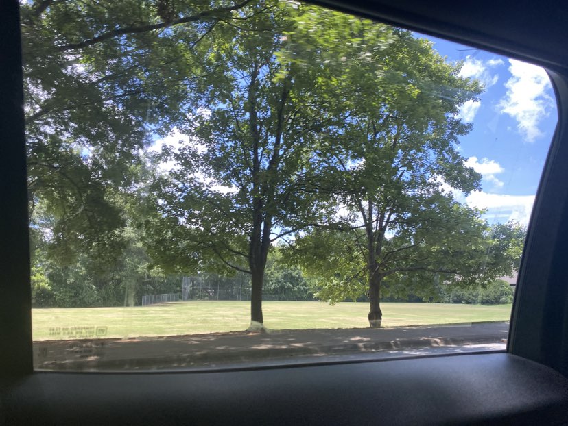 walking near me in Bishop Park in autumn