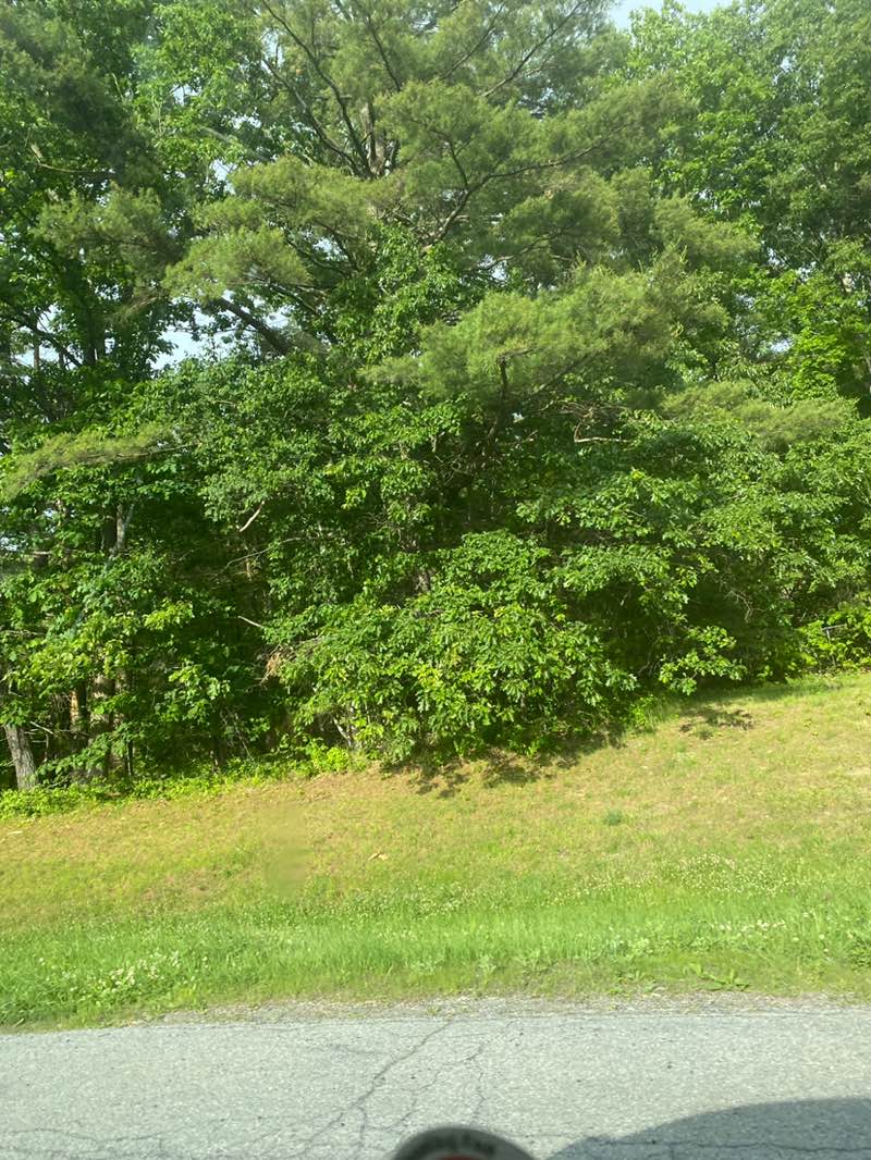 walking near me in Hudson River Park in summer