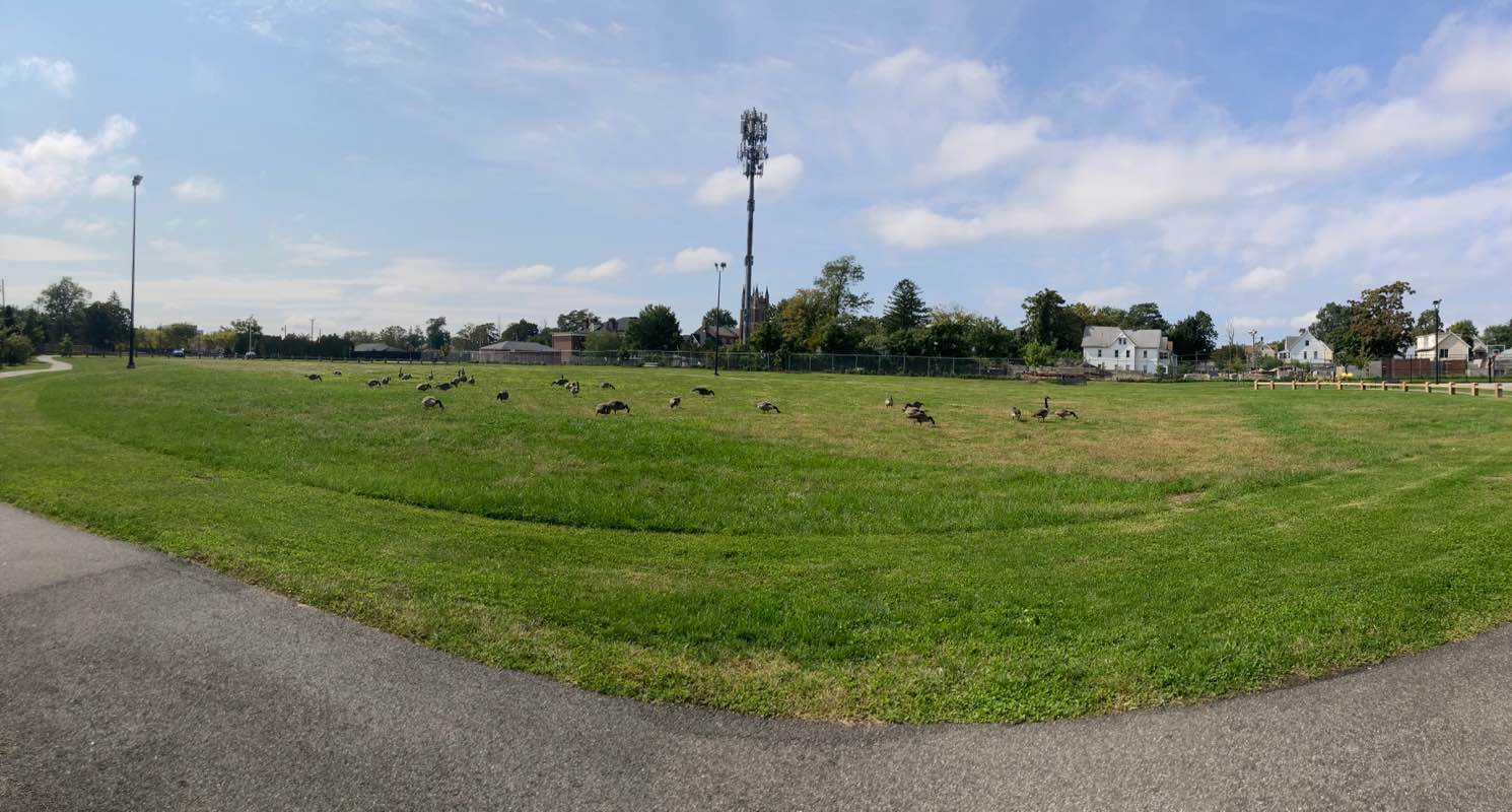 walking near me in Samuel A. Bolden Park in winter