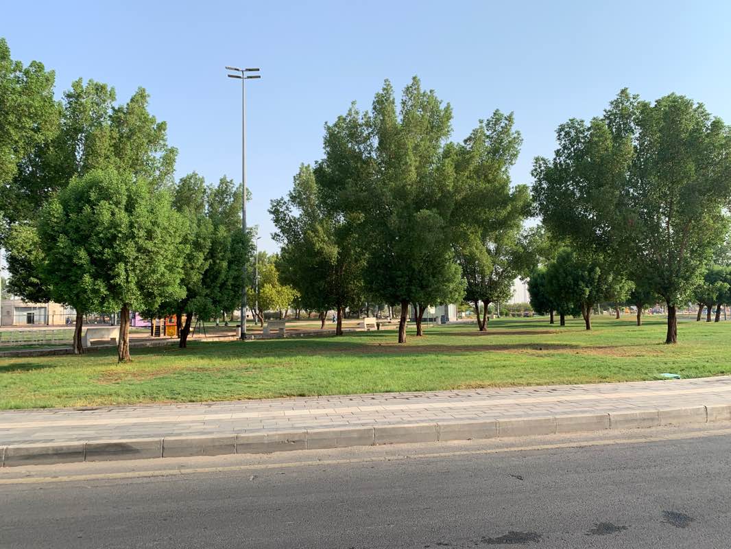 walking near me in King Fahd Central Park in winter