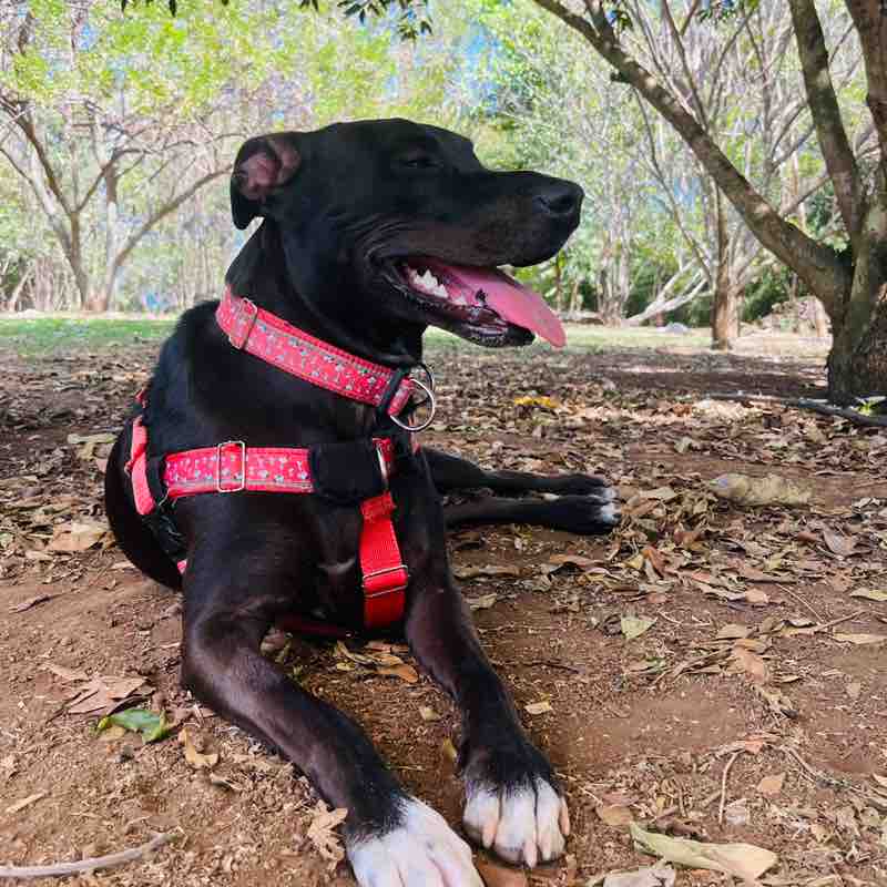 NALA TPRM Caro post image