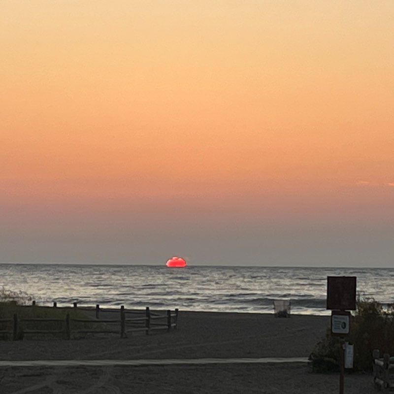 ELR, Diversity & Governance Surabhi post image