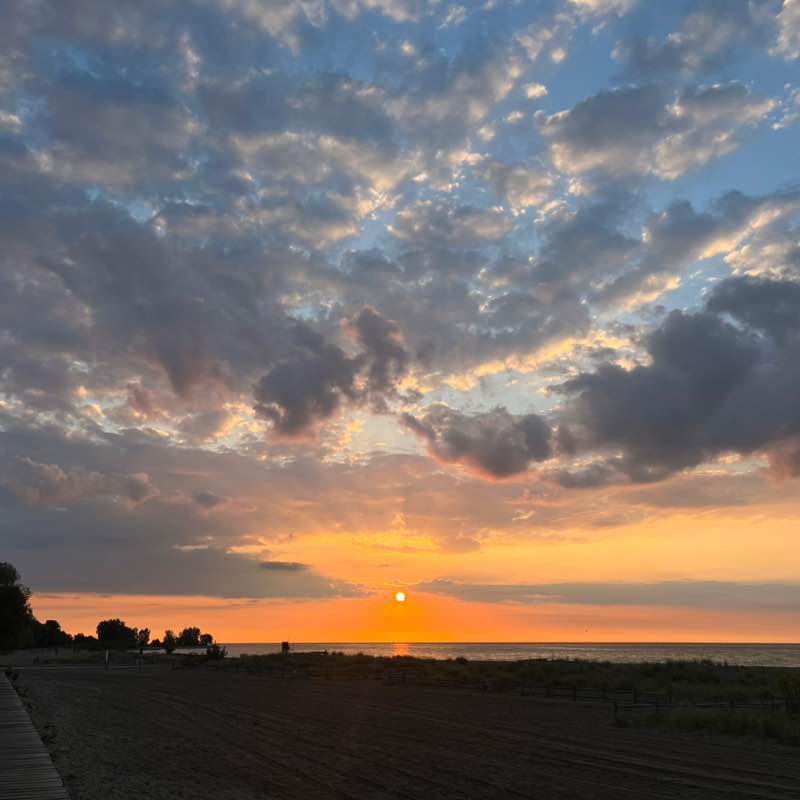 ELR, Diversity & Governance Surabhi post image