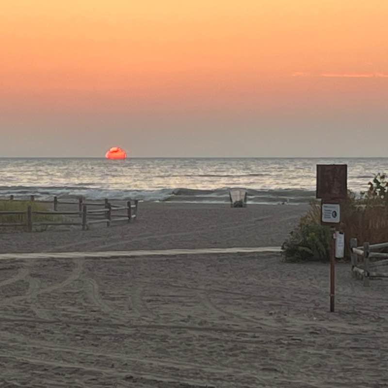 ELR, Diversity & Governance Surabhi post image