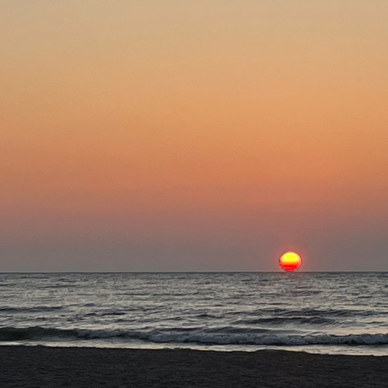 ELR, Diversity & Governance Surabhi post image