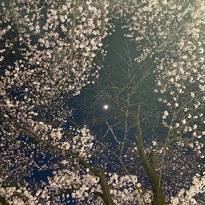 유기_이기철 icon