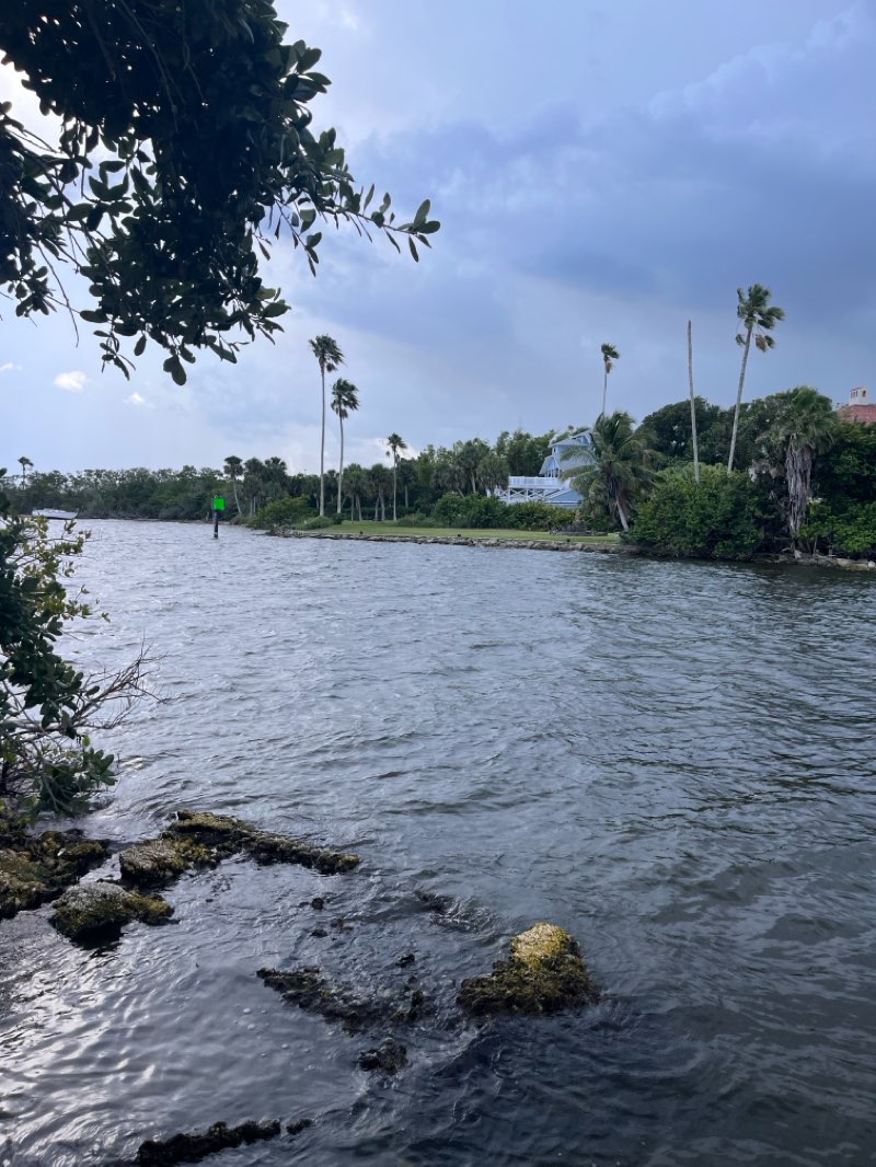 walking near me in Kiwanis Park at Geiger Point in summer