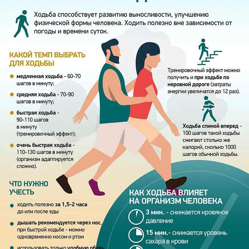 Сибирские ходоки Сибирские ходоки post image