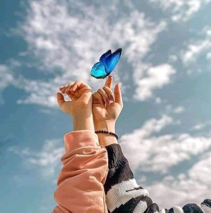 Delruba Hasan profile