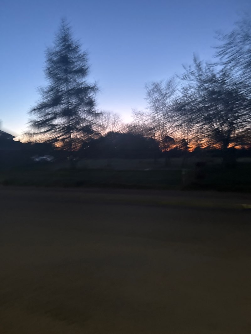 walking near me in Wheatfield road park in spring