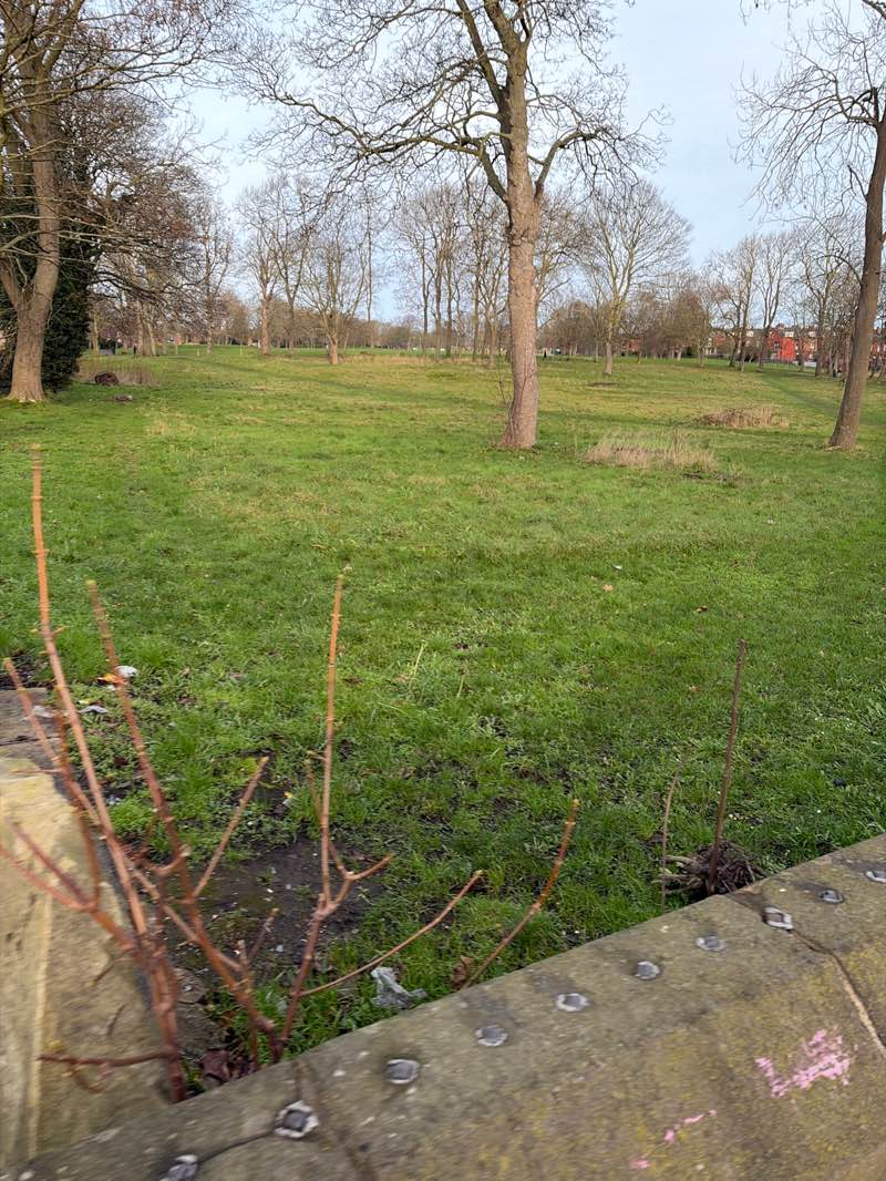 walking near me in Cross Flatts Park in winter