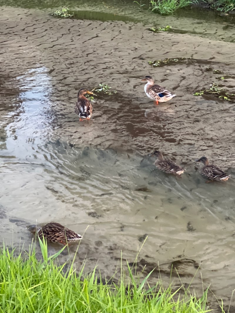 walking near me in Pamela Baker Park in winter