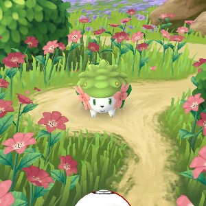 고분자_한승수 profile