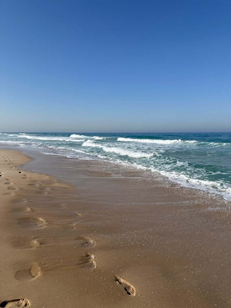 walking near me in Park Neve Dkalim in autumn