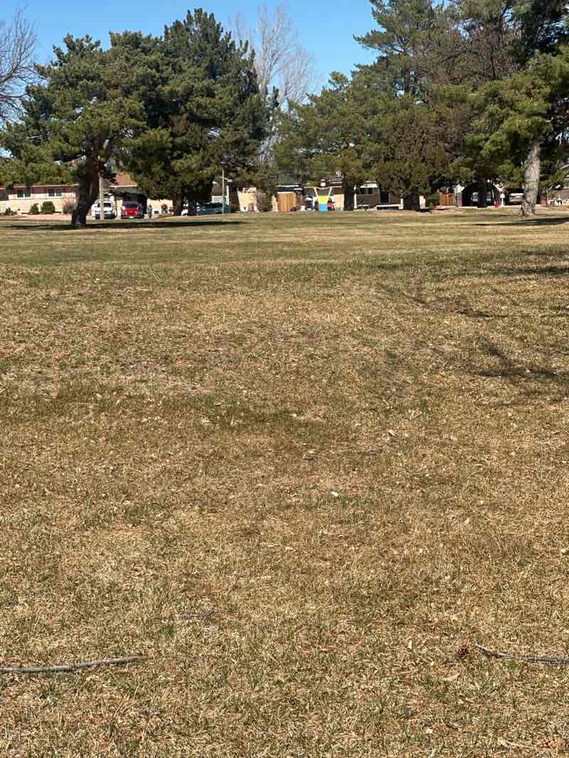 walking near me in Vinewood Park in spring