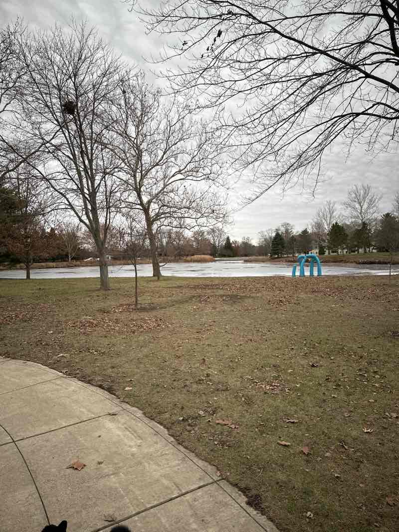 walking near me in Mattis Park in winter