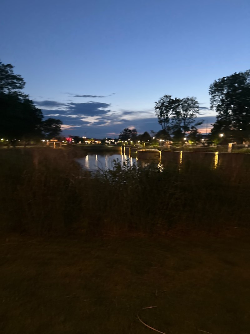 walking near me in Glenn Park in summer