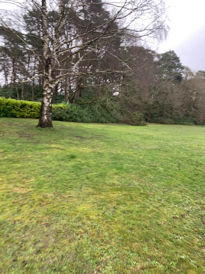 walking near me in Bigshotte Park in winter