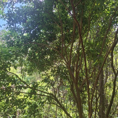 Heather(Crazy 🦵) post 2