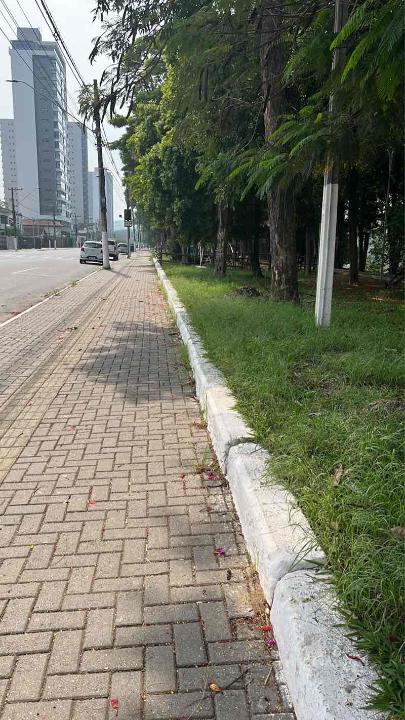 walking near me in Bosque da Amizade in summer