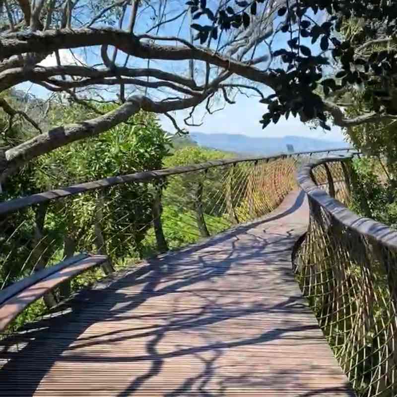 walk all over earth Virginia post image