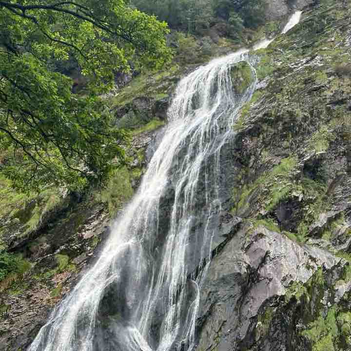 walk all over earth Virginia post image