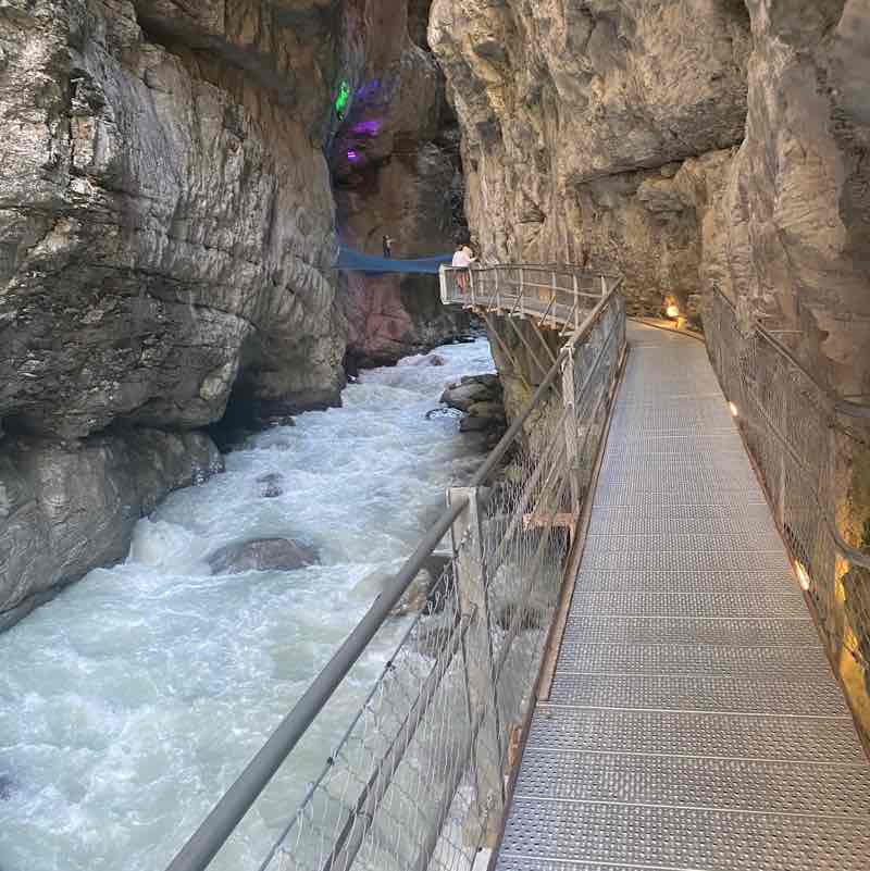 walk all over earth Virginia post image