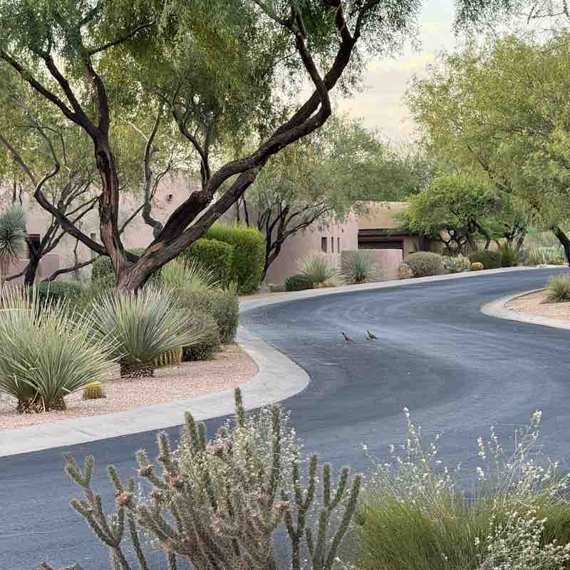 walk all over earth Virginia post image