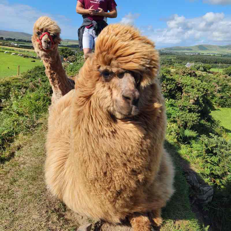 walk all over earth Virginia post image