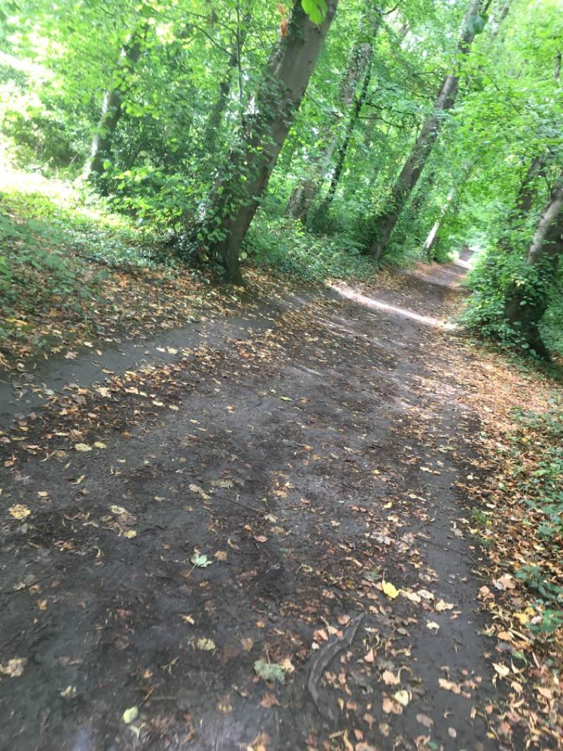 walking near me in King's Park in winter